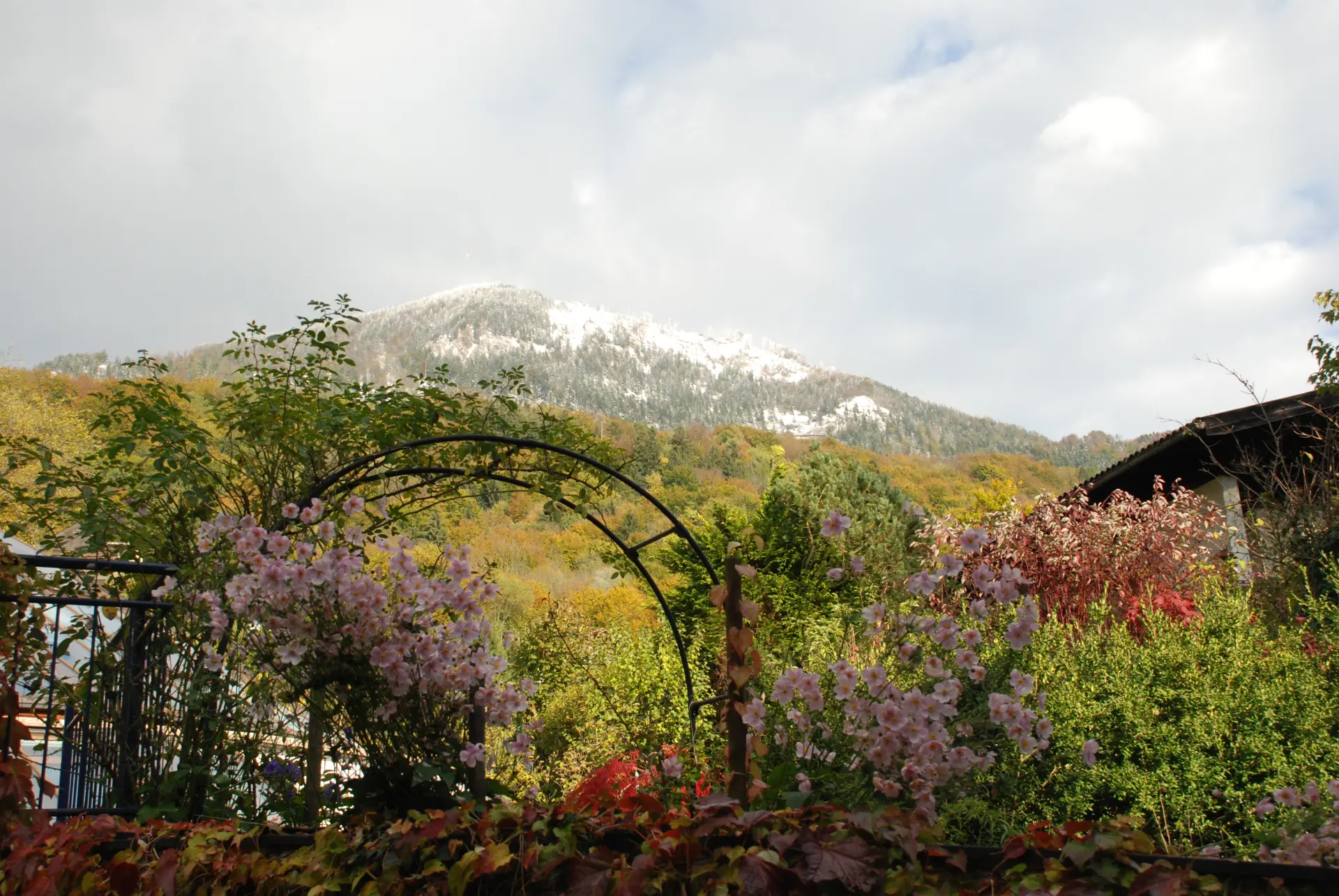 November Gartentipp 1