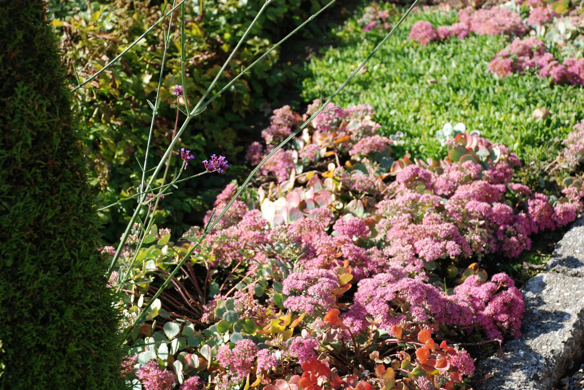 Oktober Gartentipp 1